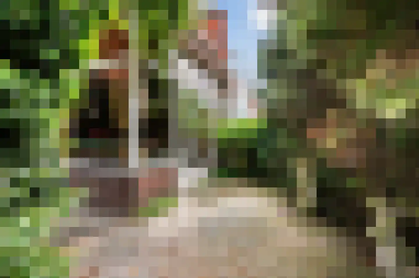 Schiedamseweg 114 Vlaardingen thumbnail 35