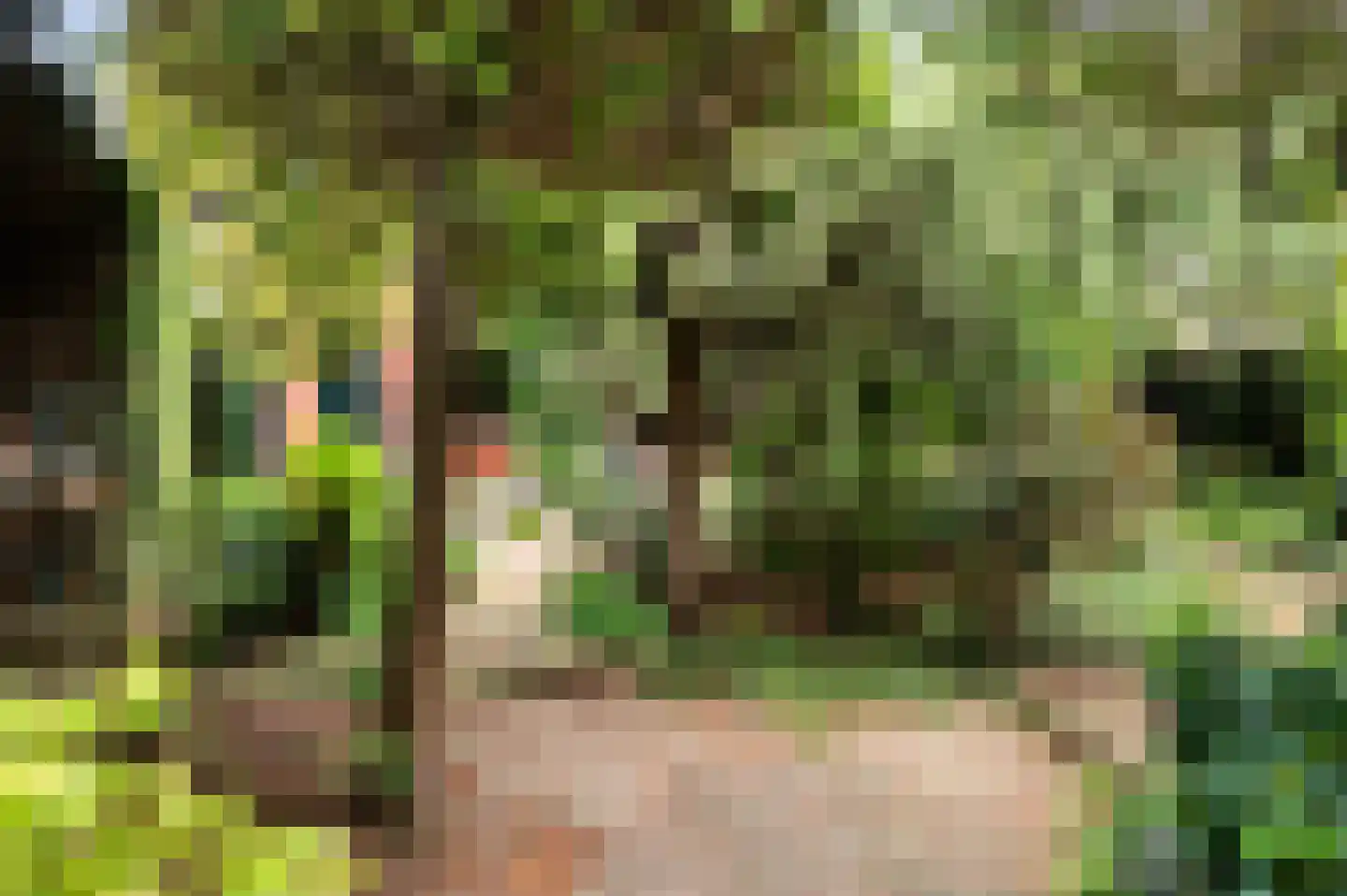 Schiedamseweg 114 Vlaardingen thumbnail 38