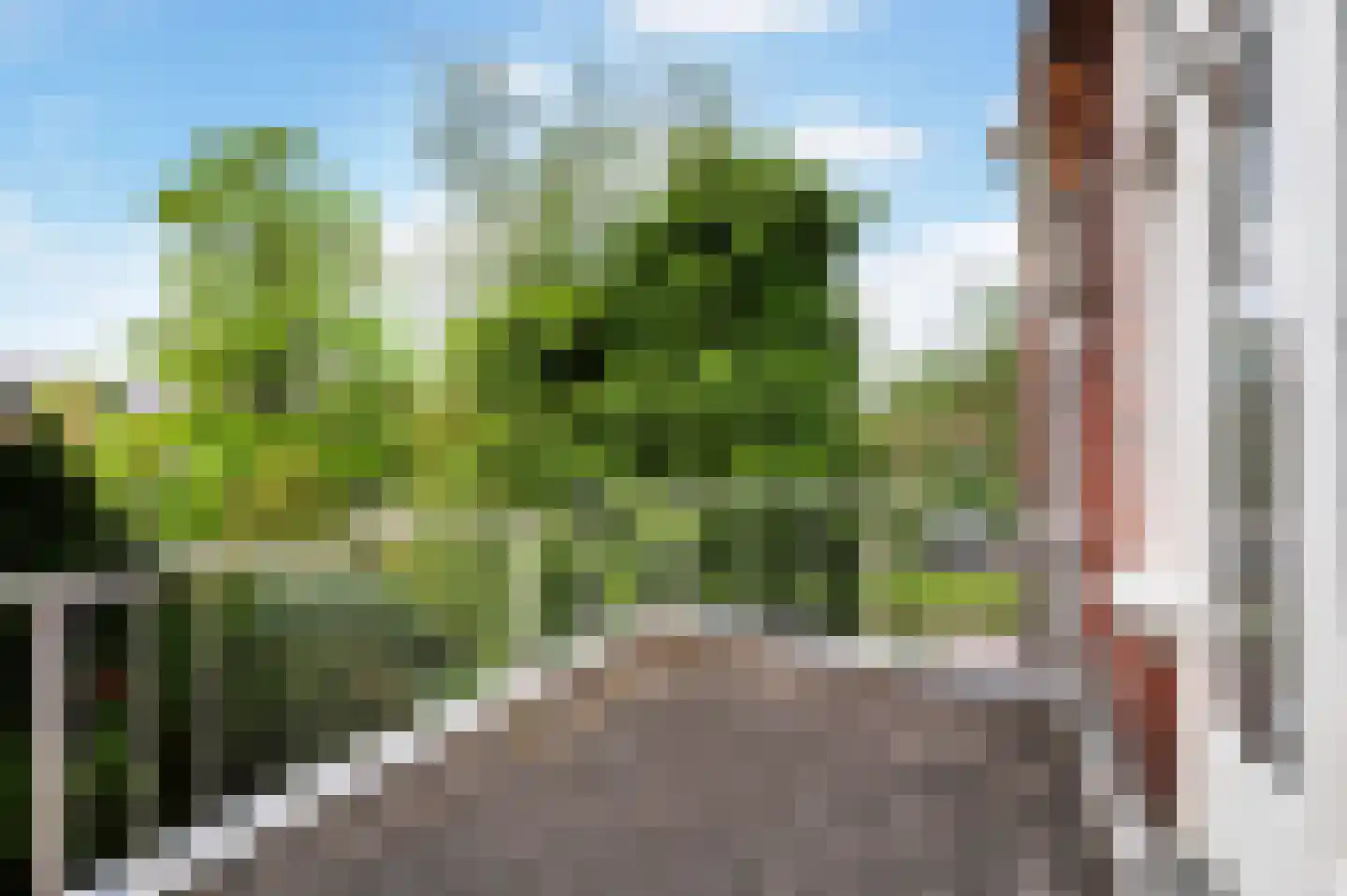 Schiedamseweg 114 Vlaardingen thumbnail 48
