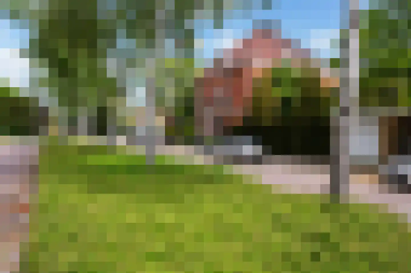 Schiedamseweg 114 Vlaardingen thumbnail 5