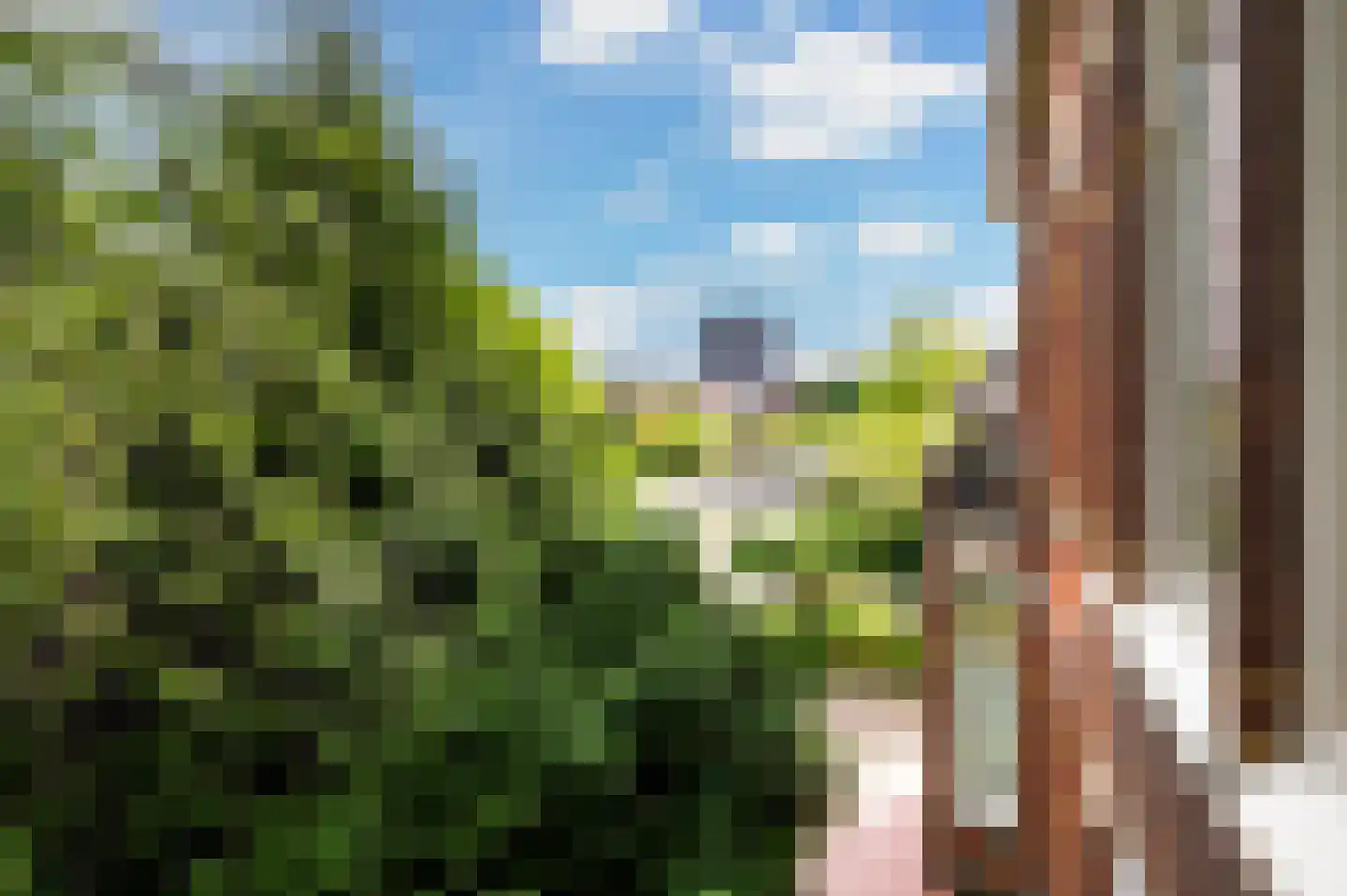 Schiedamseweg 114 Vlaardingen thumbnail 60