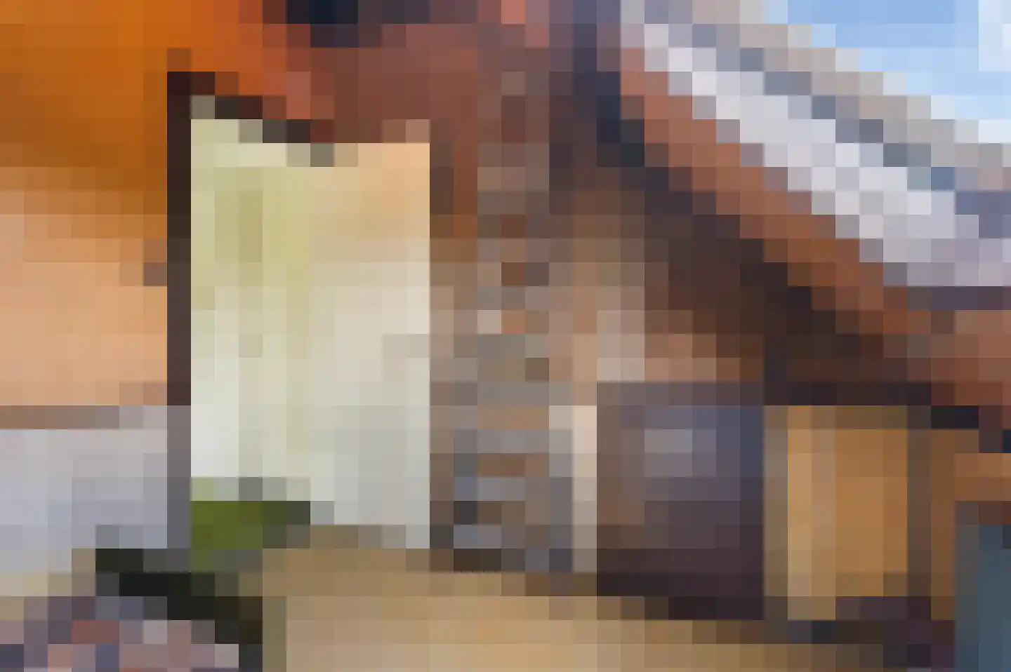 Schiedamseweg 114 Vlaardingen thumbnail 79