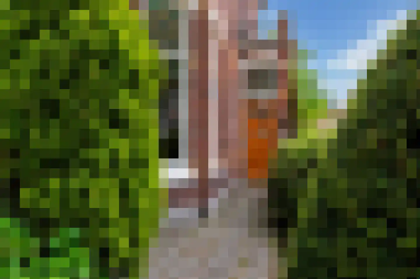 Schiedamseweg 114 Vlaardingen thumbnail 8
