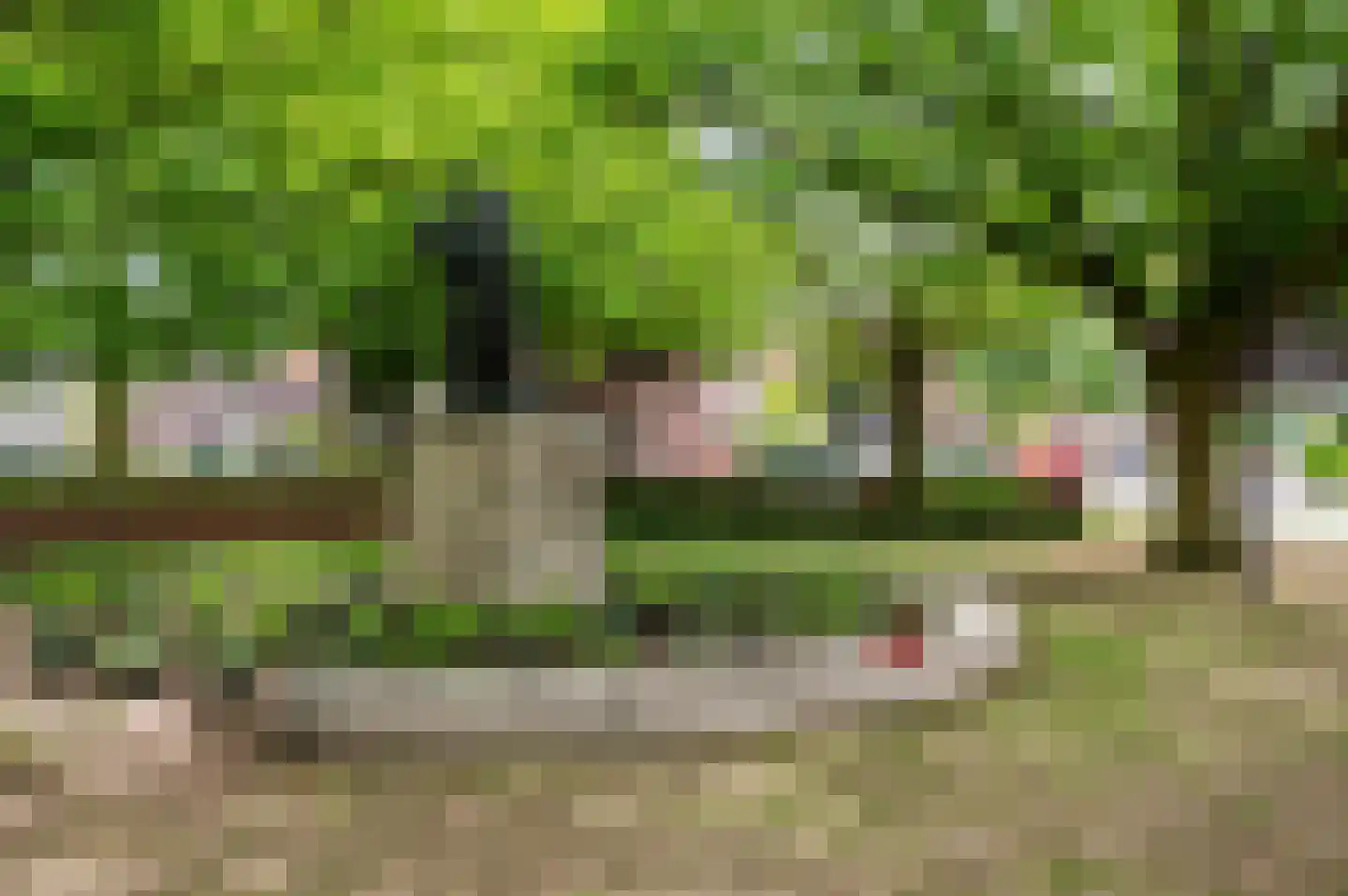 Schiedamseweg 114 Vlaardingen thumbnail 87