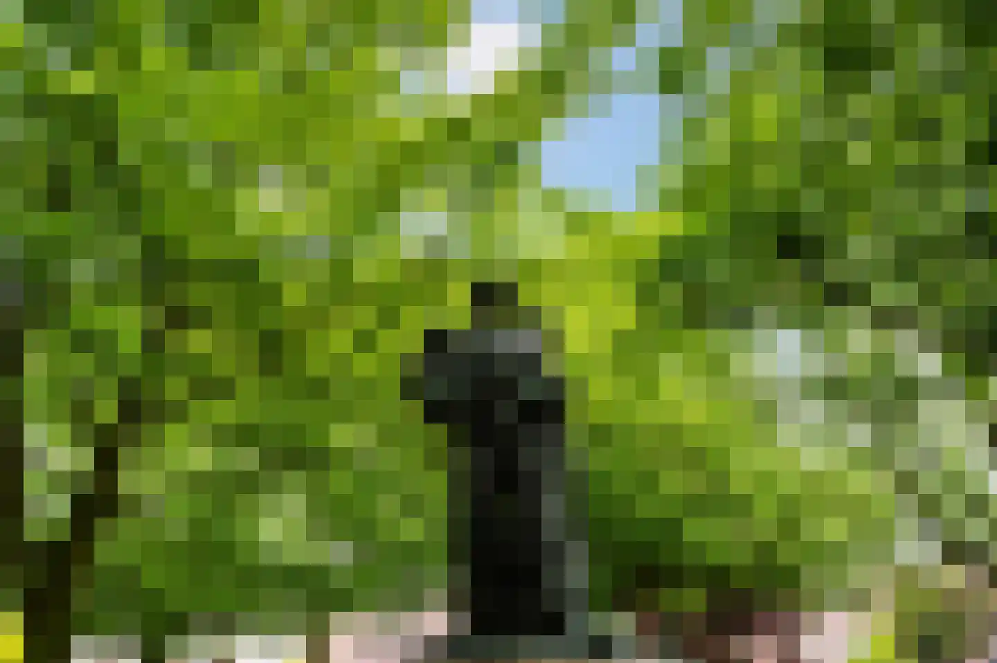 Schiedamseweg 114 Vlaardingen thumbnail 88