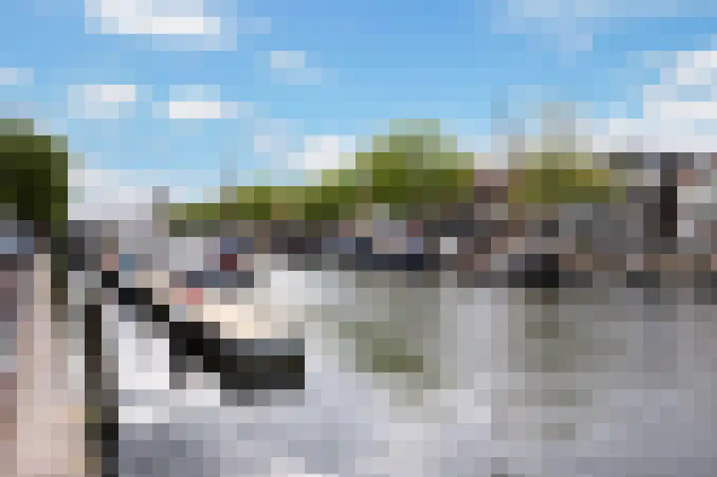 Schiedamseweg 114 Vlaardingen thumbnail 91