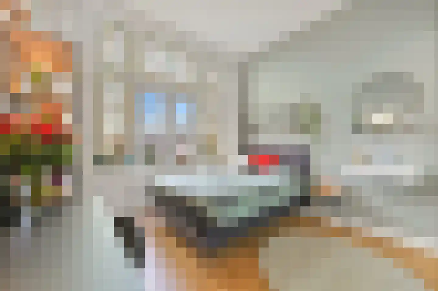 Schiedamseweg 116 Vlaardingen thumbnail 8