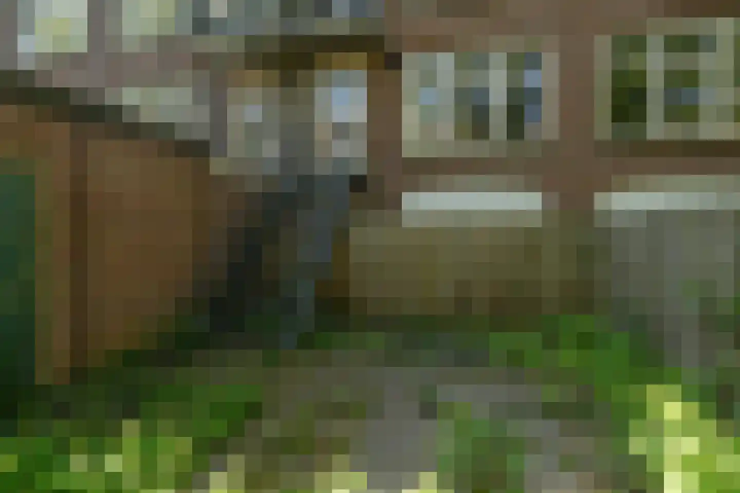 Schiedamseweg 119 A 01V Rotterdam thumbnail 10