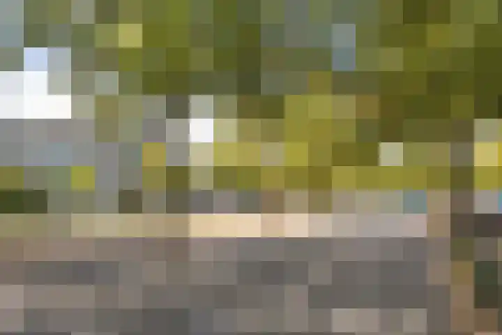 Schiedamseweg 121 A 01V Rotterdam thumbnail 13