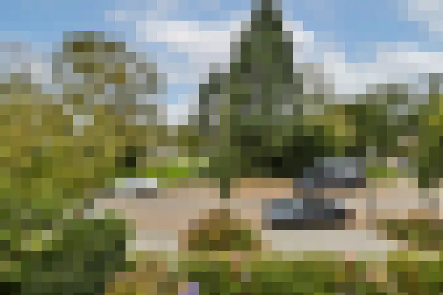Schiedamseweg 123 Vlaardingen thumbnail 27