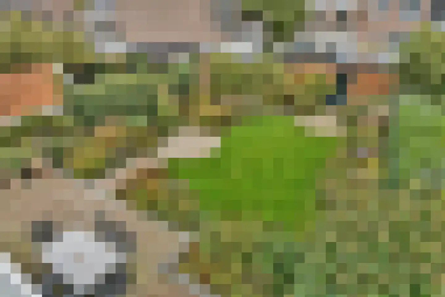 Schiedamseweg 123 Vlaardingen thumbnail 33
