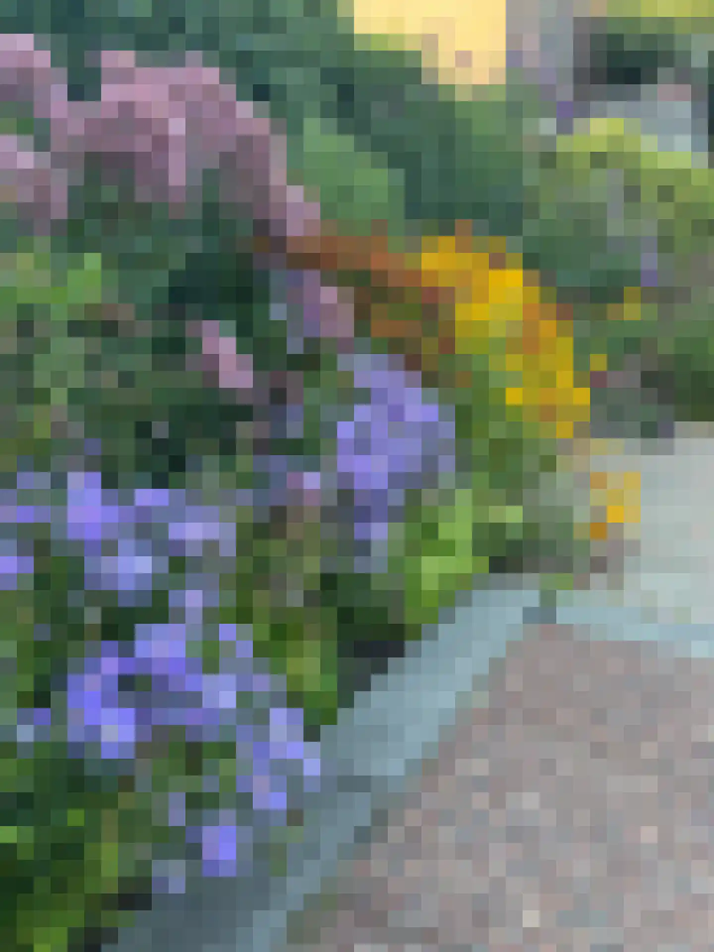 Schiedamseweg 123 Vlaardingen thumbnail 47