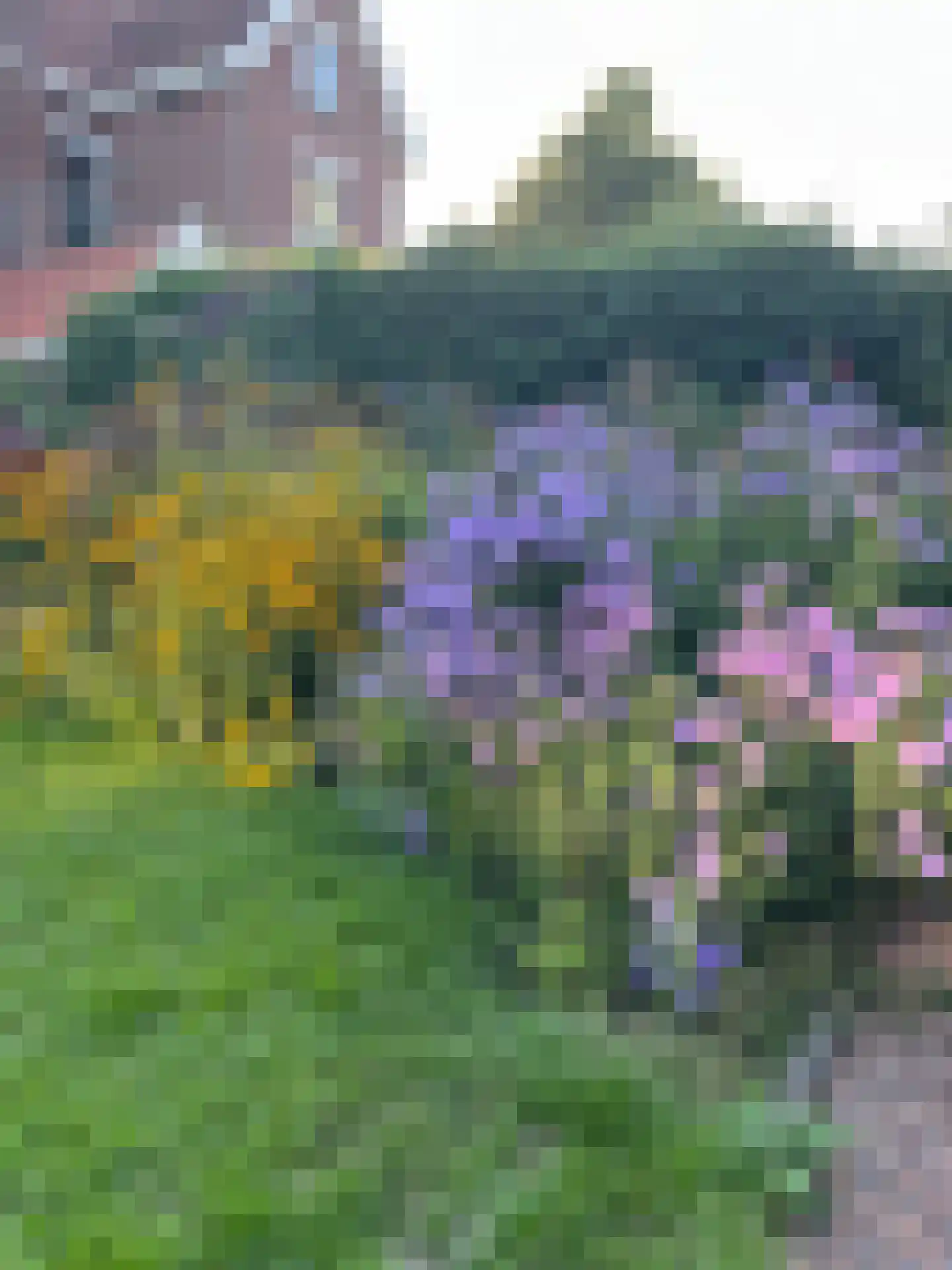 Schiedamseweg 123 Vlaardingen thumbnail 48