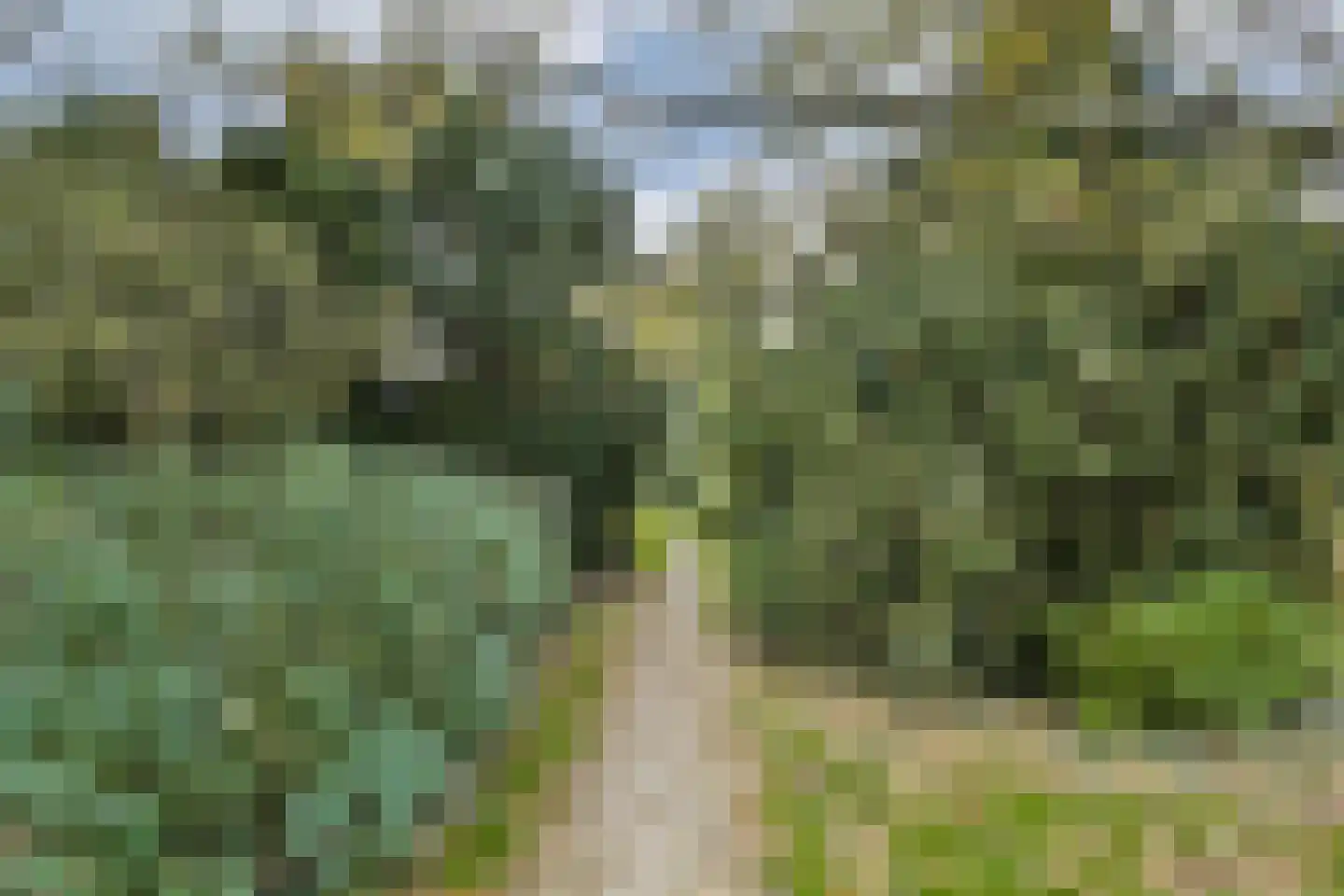 Schiedamseweg 123 Vlaardingen thumbnail 51