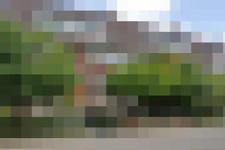 Schiedamseweg 143 Vlaardingen thumbnail 42