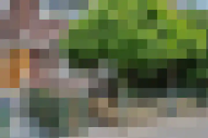 Schiedamseweg 143 Vlaardingen thumbnail 6