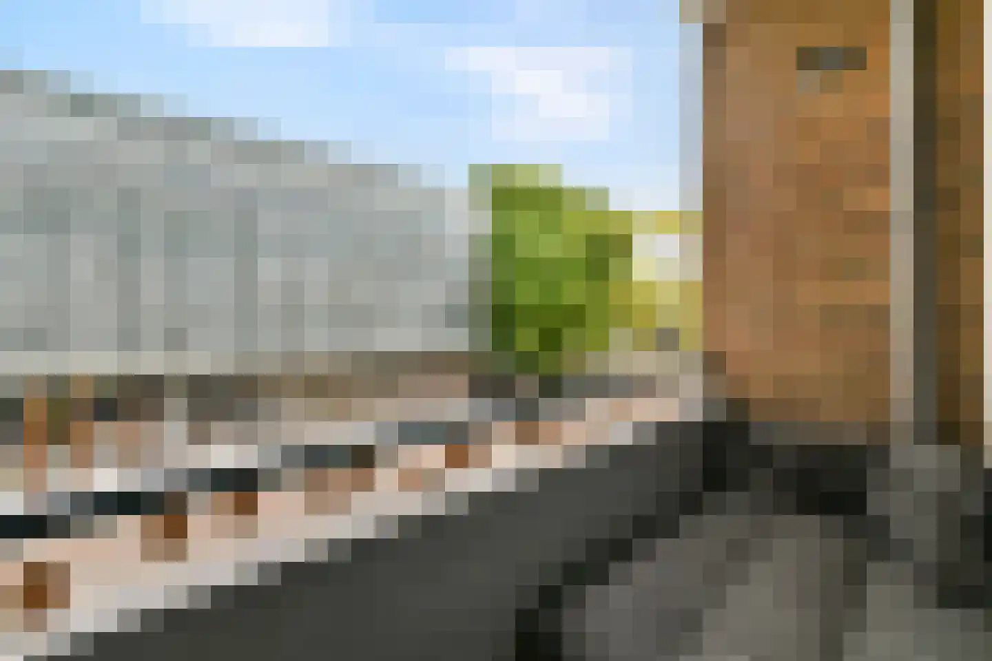 Schiedamseweg 16 B Vlaardingen thumbnail 14
