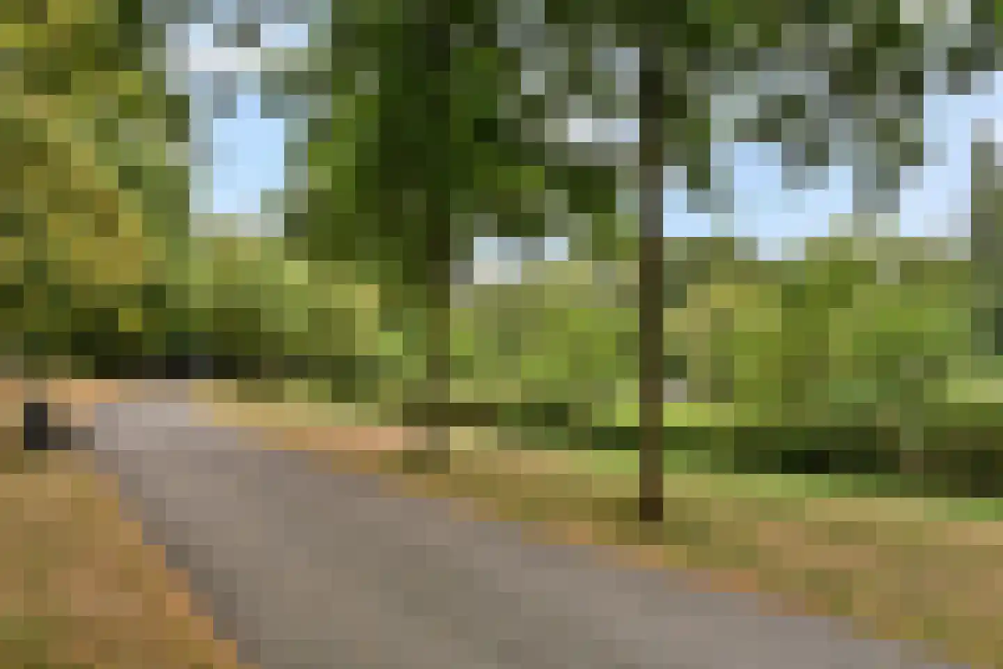 Schiedamseweg 16 B Vlaardingen thumbnail 25