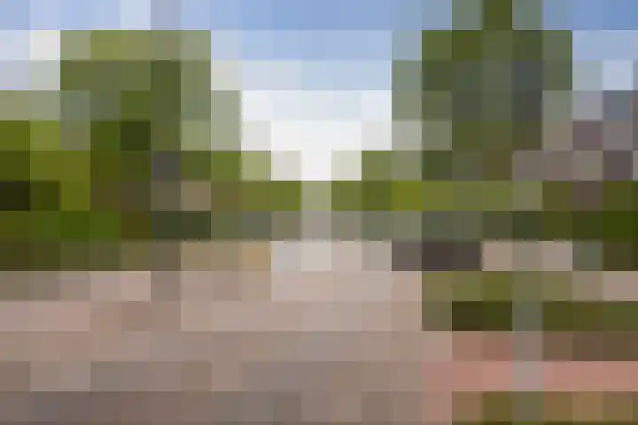 Schiedamseweg 194 Vlaardingen thumbnail 6