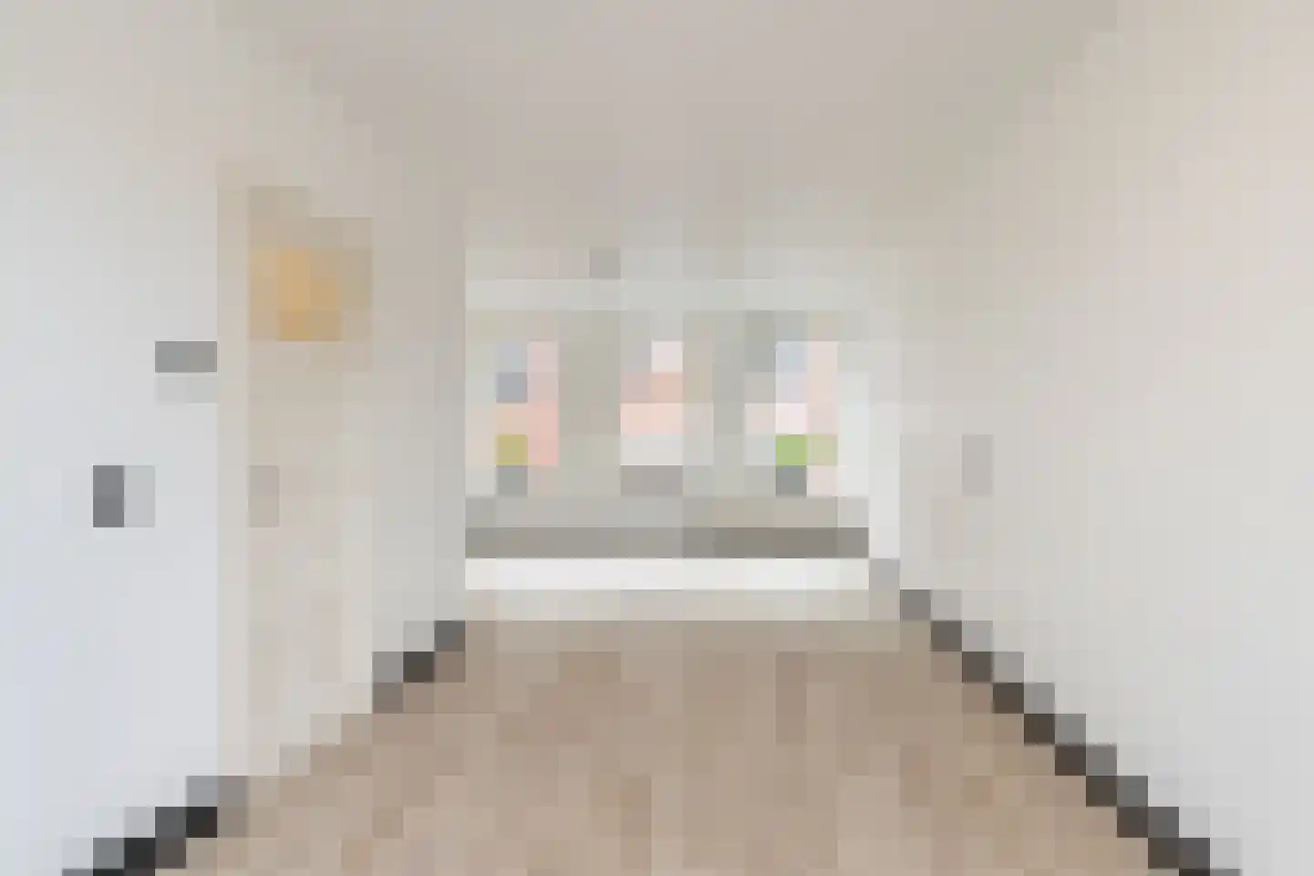 Schiedamseweg 21 Vlaardingen thumbnail 16