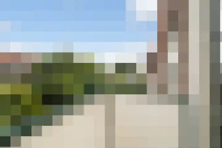 Schiedamseweg 210 Vlaardingen thumbnail 25