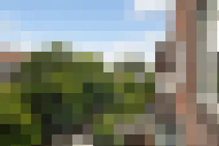 Schiedamseweg 210 Vlaardingen thumbnail 6