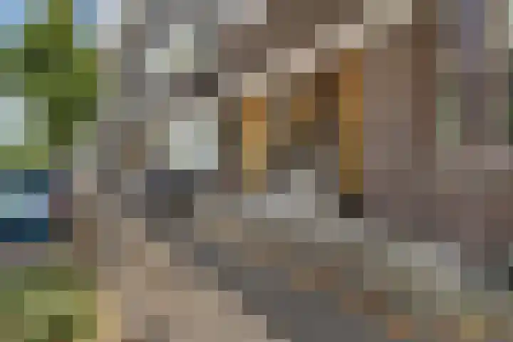 Schiedamseweg 210 Vlaardingen thumbnail 7