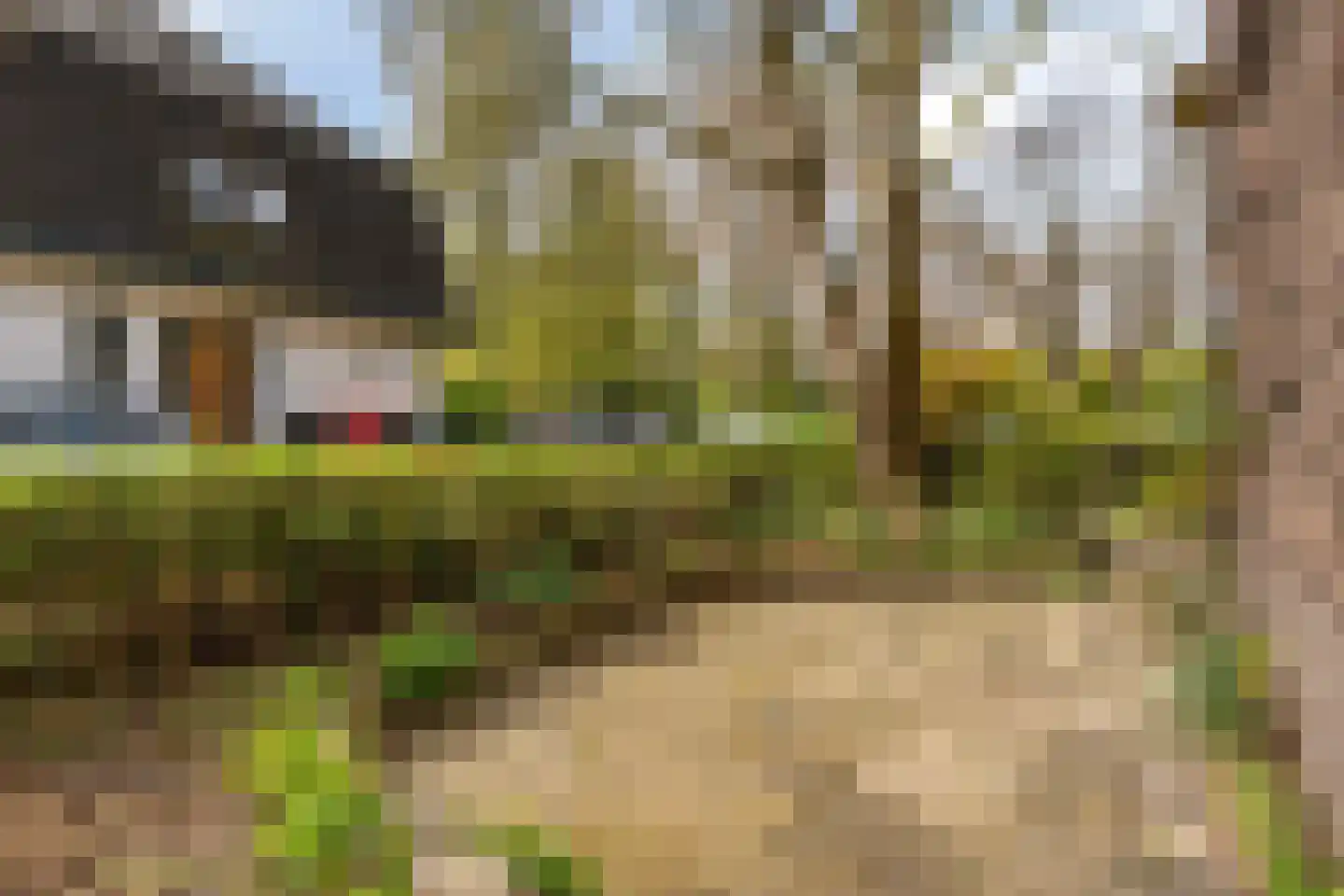 Schiedamseweg 237 Schiedam thumbnail 20