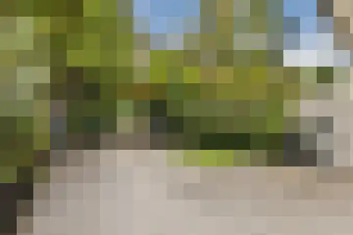 Schiedamseweg 240 Vlaardingen thumbnail 22