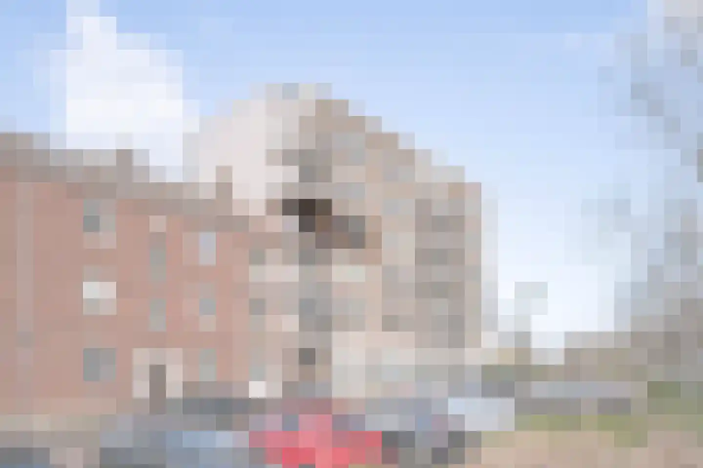 Schiedamseweg 248 B Vlaardingen thumbnail 5