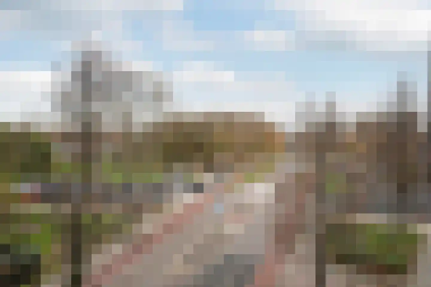 Schiedamseweg 248 C Vlaardingen thumbnail 15