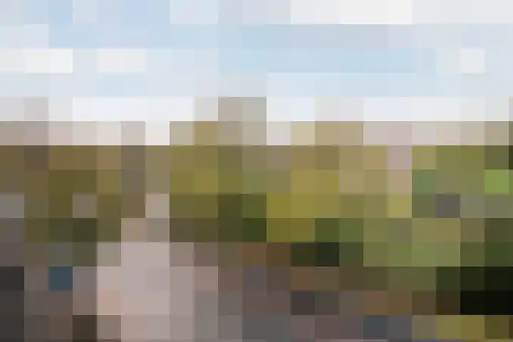 Schiedamseweg 248 Vlaardingen thumbnail 17
