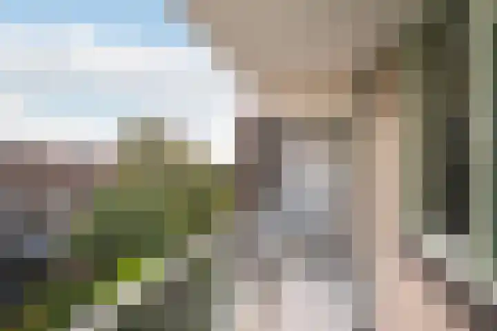 Schiedamseweg 248 Vlaardingen thumbnail 18