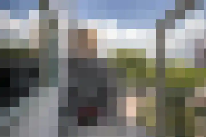 Schiedamseweg 252 C Vlaardingen thumbnail 13