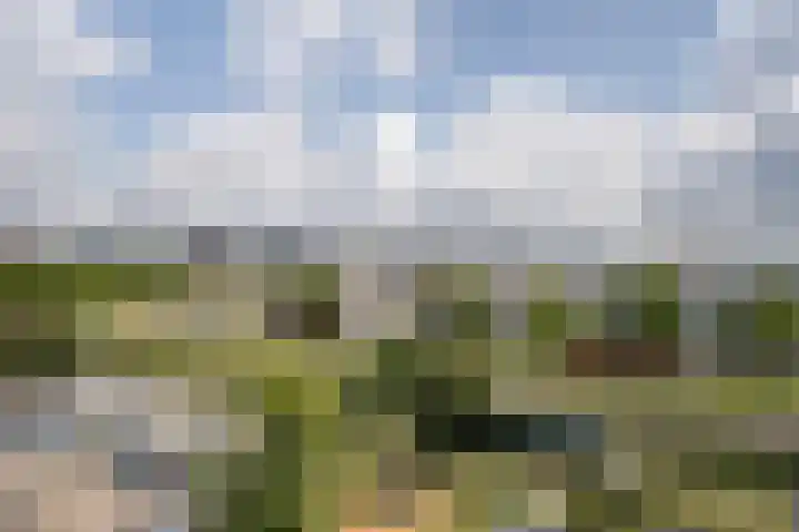 Schiedamseweg 252 C Vlaardingen thumbnail 15