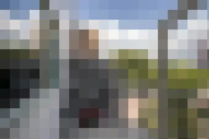 Schiedamseweg 252 C Vlaardingen thumbnail 5
