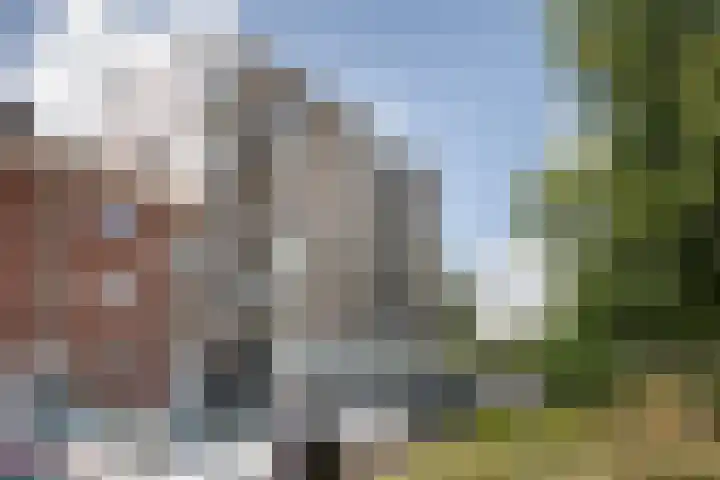 Schiedamseweg 252 C Vlaardingen thumbnail 7