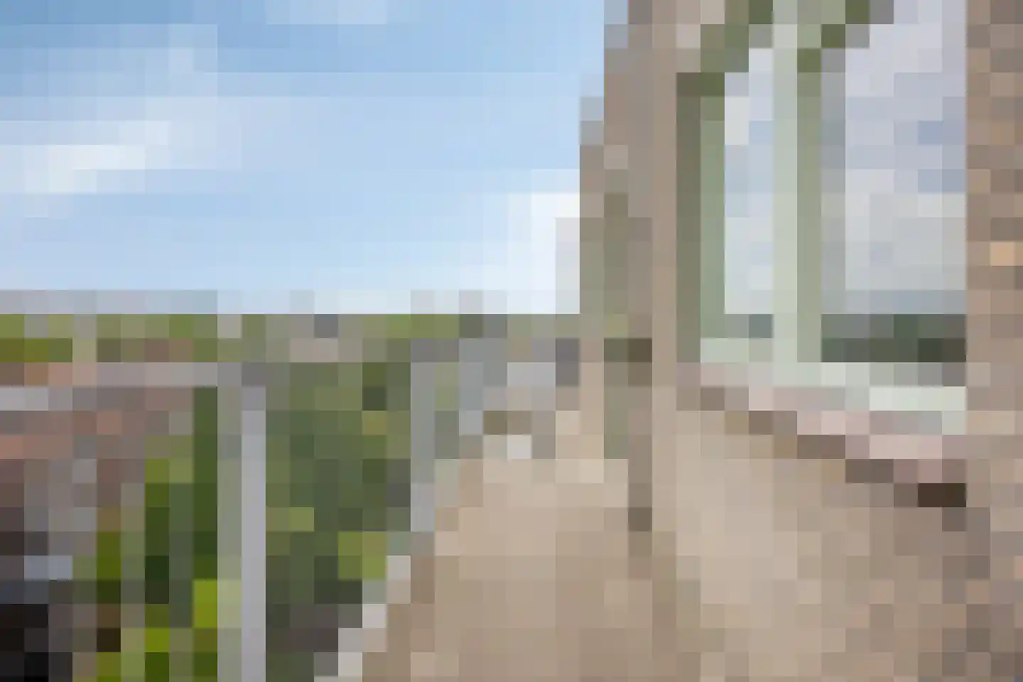 Schiedamseweg 252 Vlaardingen thumbnail 20