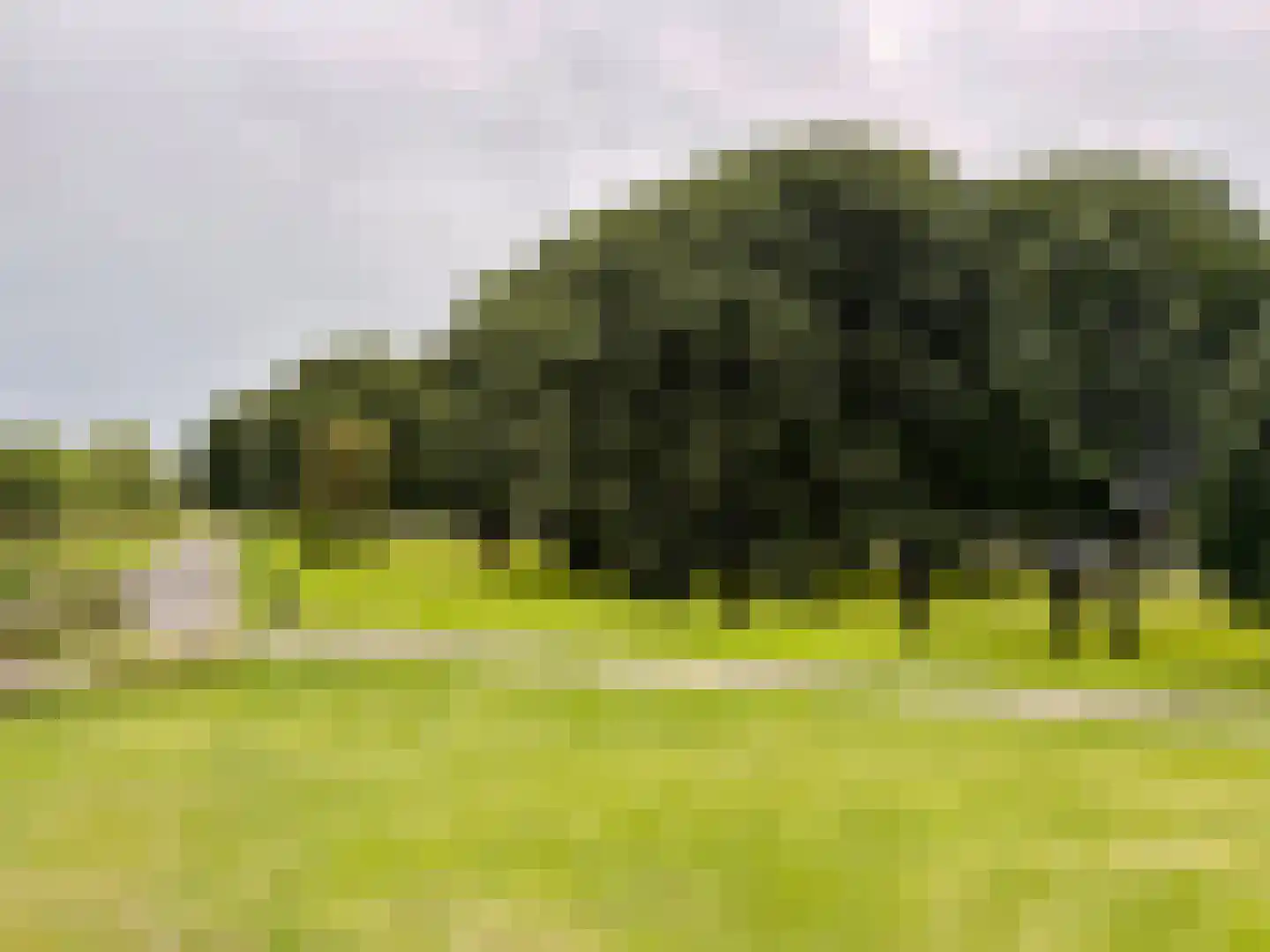 Schiedamseweg 252 Vlaardingen thumbnail 27