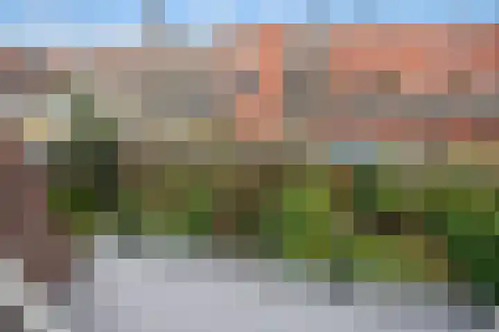 Schiedamseweg 254 A Rotterdam thumbnail 18