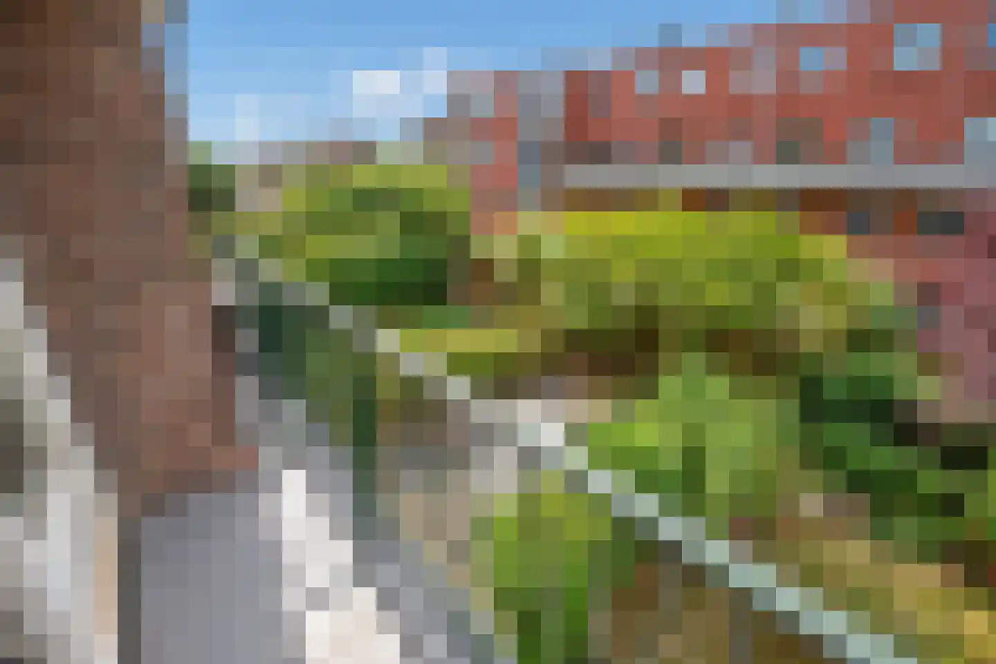 Schiedamseweg 260 B Rotterdam thumbnail 31