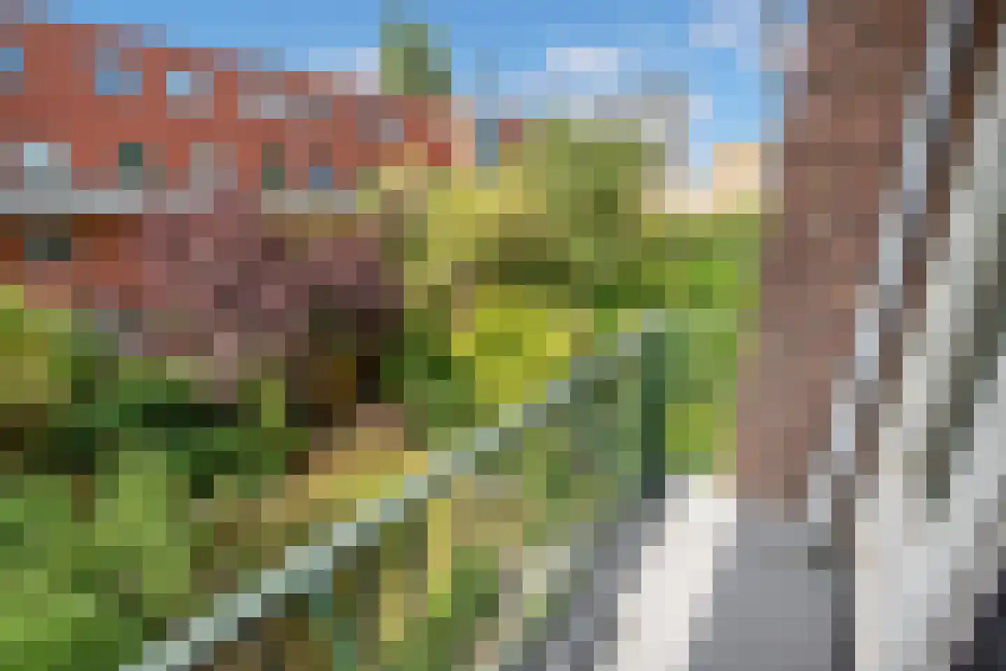 Schiedamseweg 260 B Rotterdam thumbnail 32