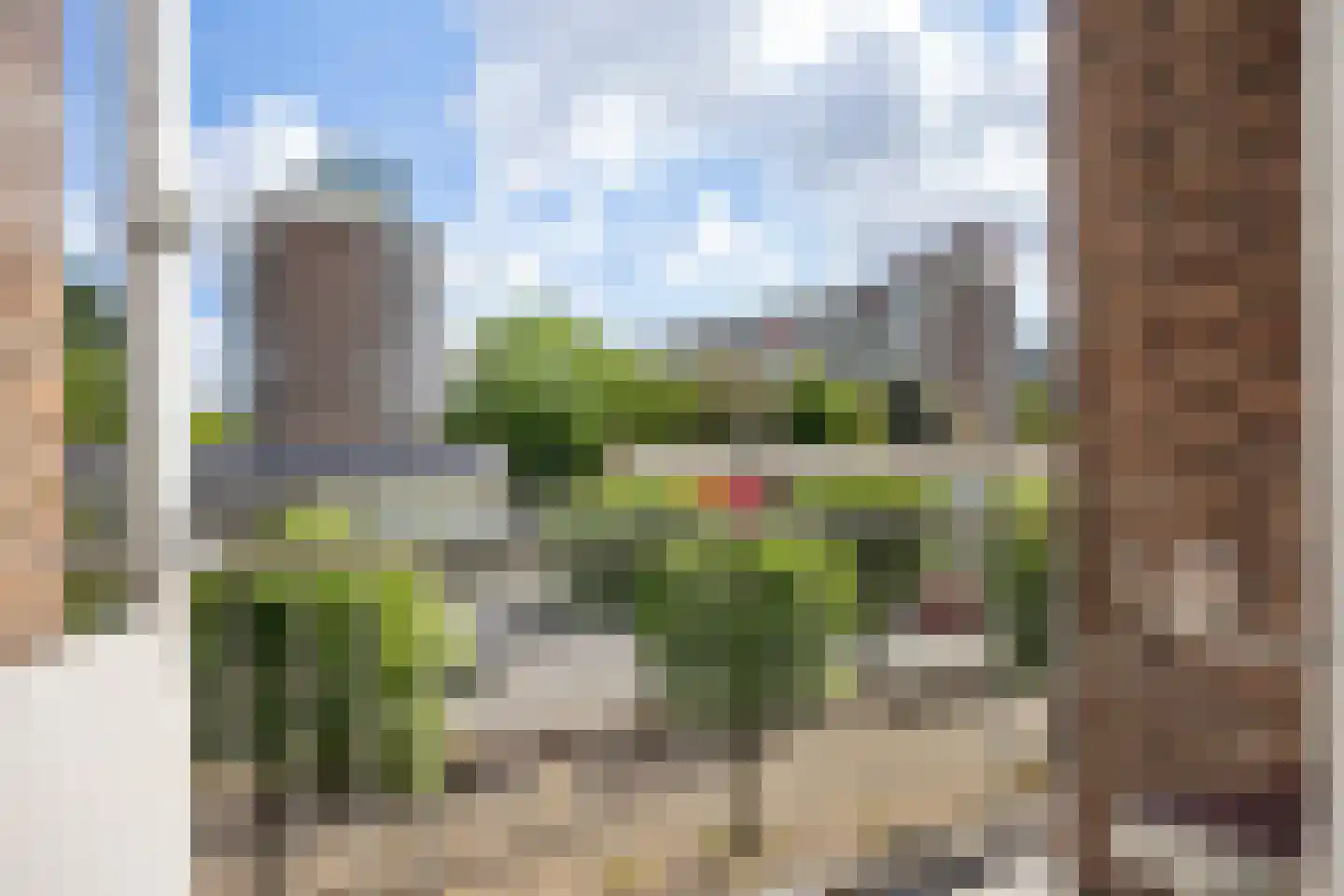 Schiedamseweg 262 C Rotterdam thumbnail 22