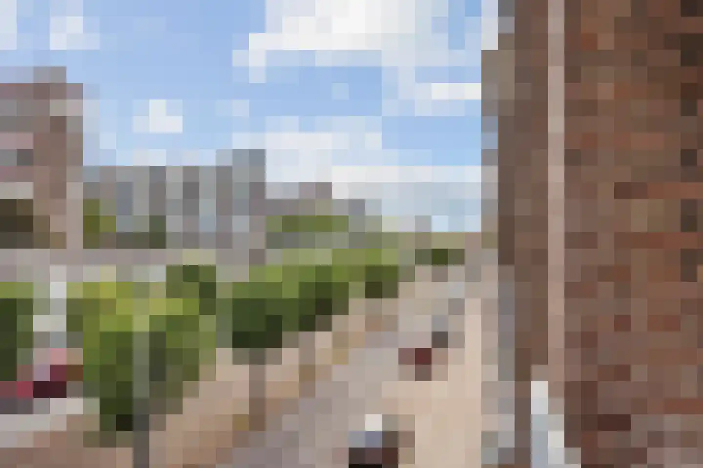 Schiedamseweg 262 C Rotterdam thumbnail 23