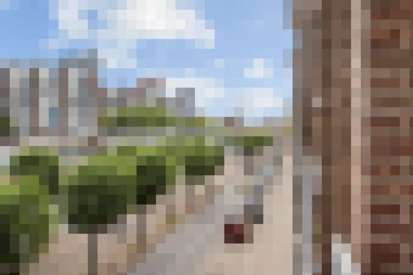 Schiedamseweg 262 C Rotterdam thumbnail 24