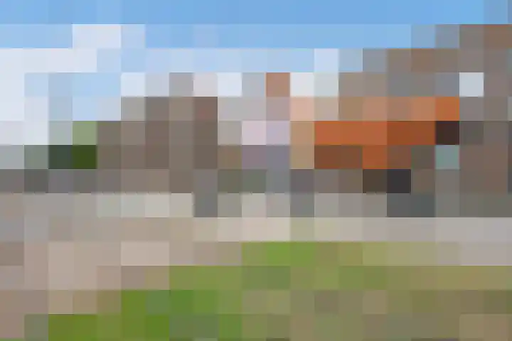 Schiedamseweg 266 C Rotterdam thumbnail 29