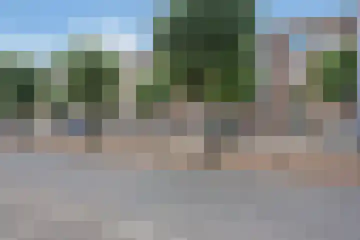 Schiedamseweg 266 C Rotterdam thumbnail 31