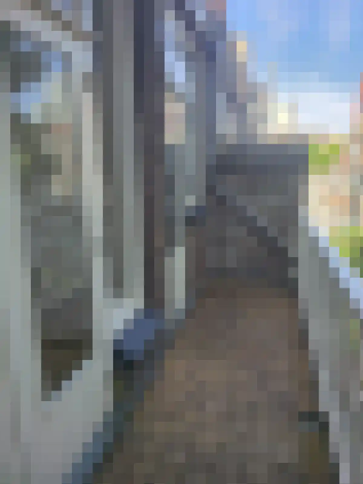 Schiedamseweg 27 Rotterdam thumbnail 6