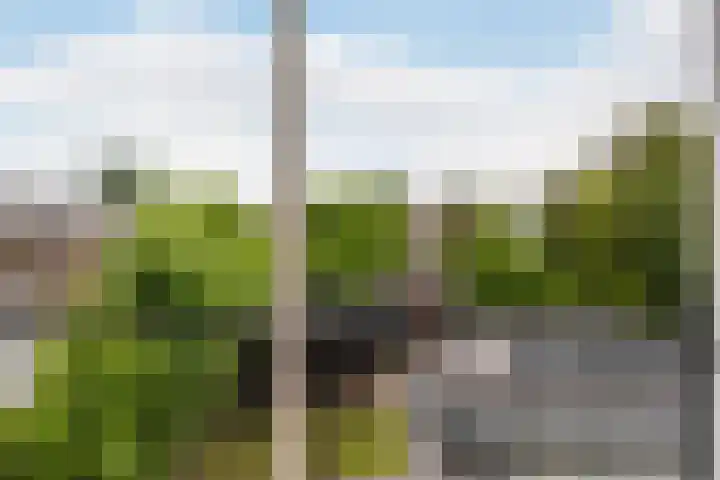 Schiedamseweg 70 Vlaardingen thumbnail 41