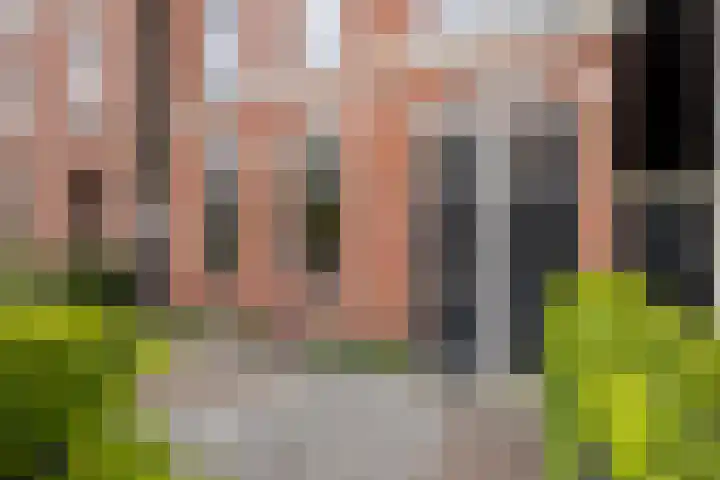 Schiedamseweg 70 Vlaardingen thumbnail 5